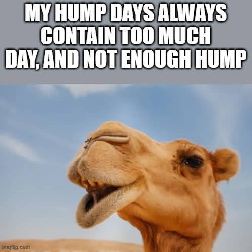 My Hump Days Always Contain