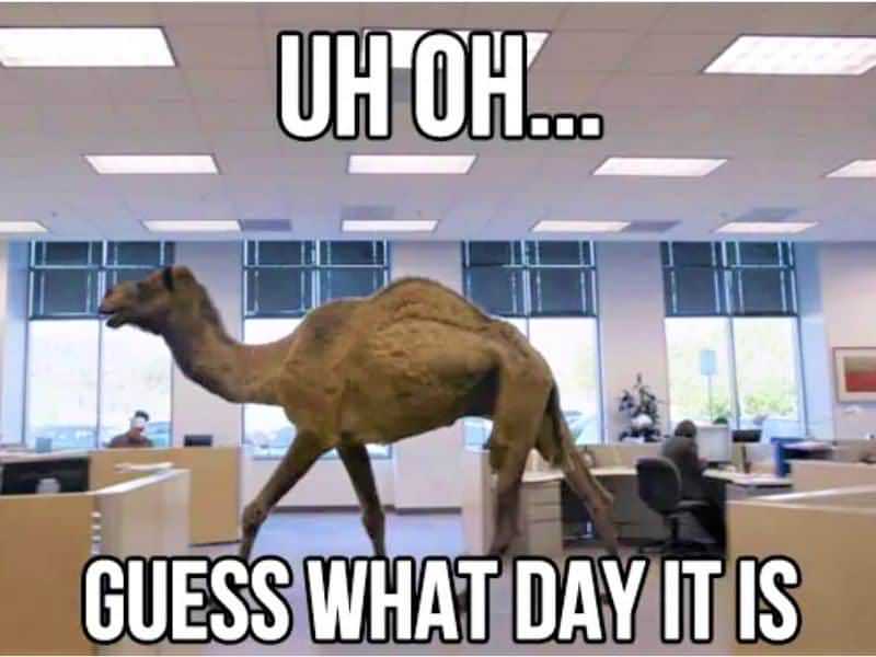 Oh Oh Guess What Day It Is