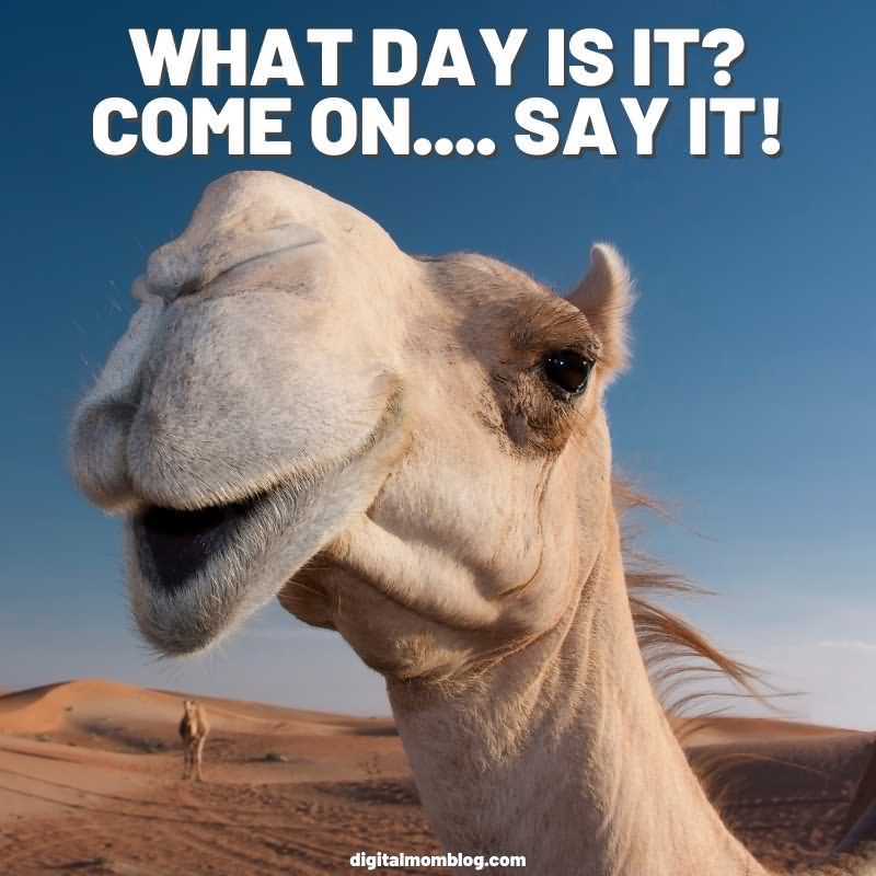 What Day Is It