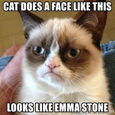 Cat Does A Emma Stone Cat Meme