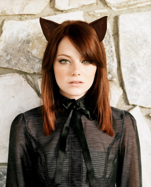 Cat Emma Stone Cat Meme