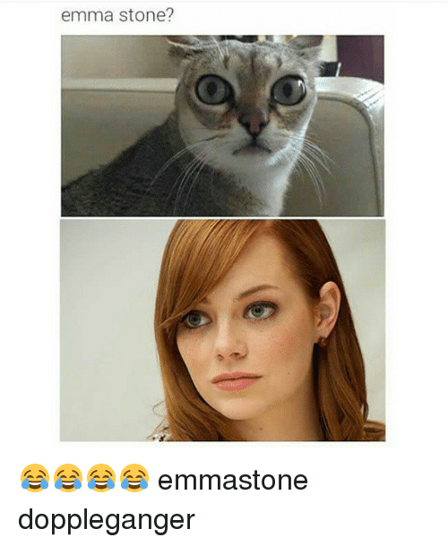 Emma Stone Doppleganger Emma Stone Cat Meme