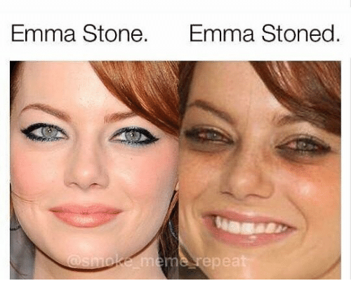 Emma Stone Emma Emma Stone Cat Meme