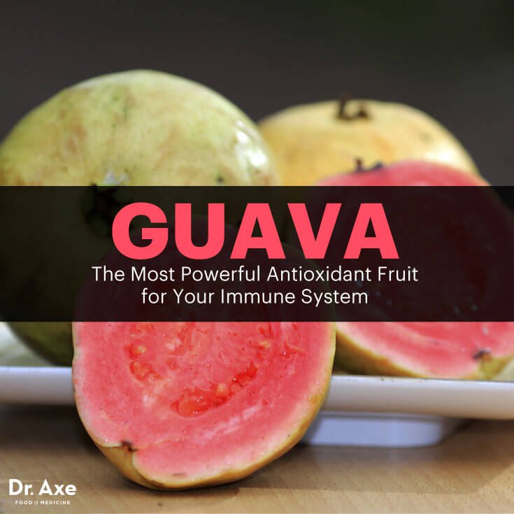 Guava The Most Powerful Guava Meme