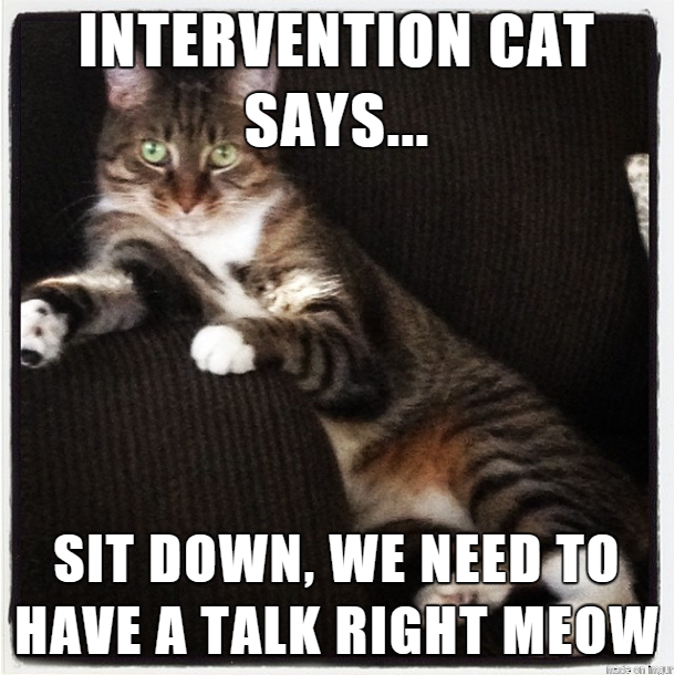 Intervention Cat Says Intervention Meme