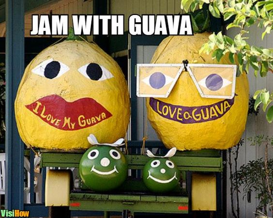 Jam With Guava Guava Meme