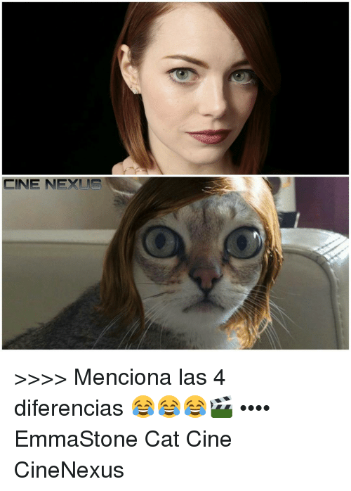 Menciona Las 4 Emma Stone Cat Meme