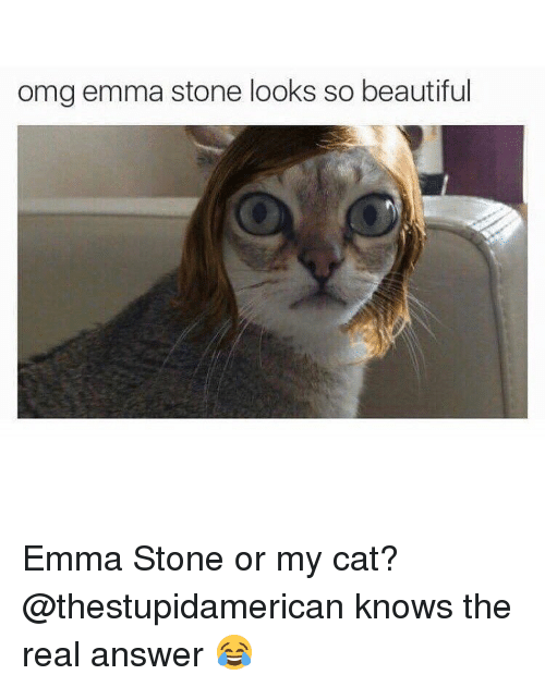 Omg Emma Stone Emma Stone Cat Meme