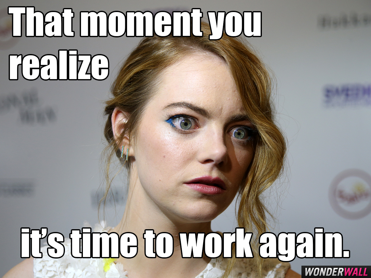 That Moment You Emma Stone Cat Meme