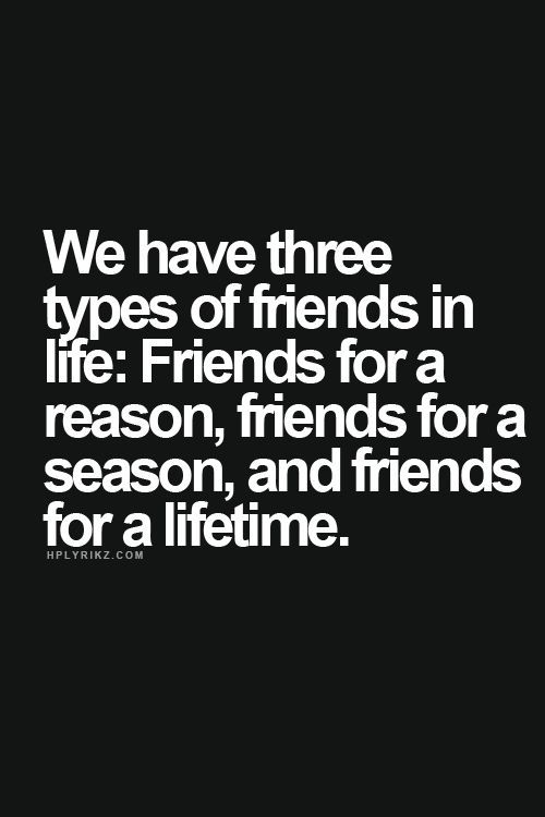 A Quote About Friendship 14