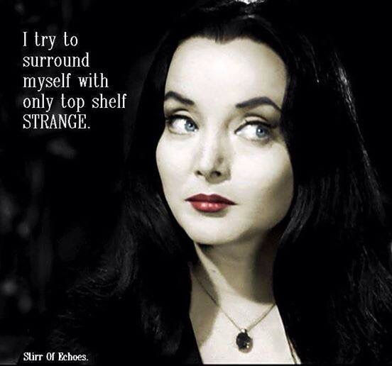 Addams Family Quotes Meme Image 07