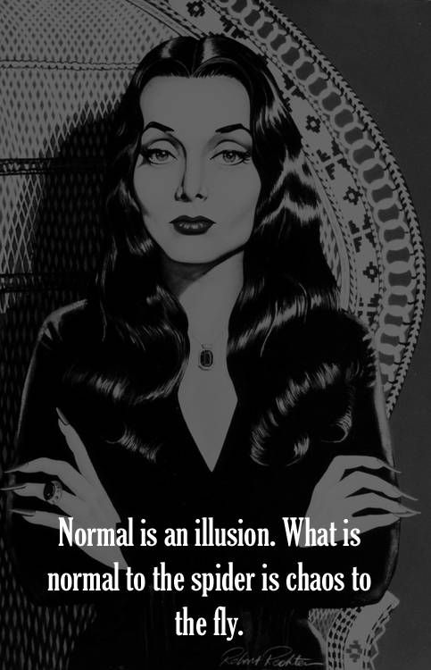 Addams Family Quotes Meme Image 15