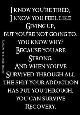 Addiction Recovery Quotes Meme Image 07