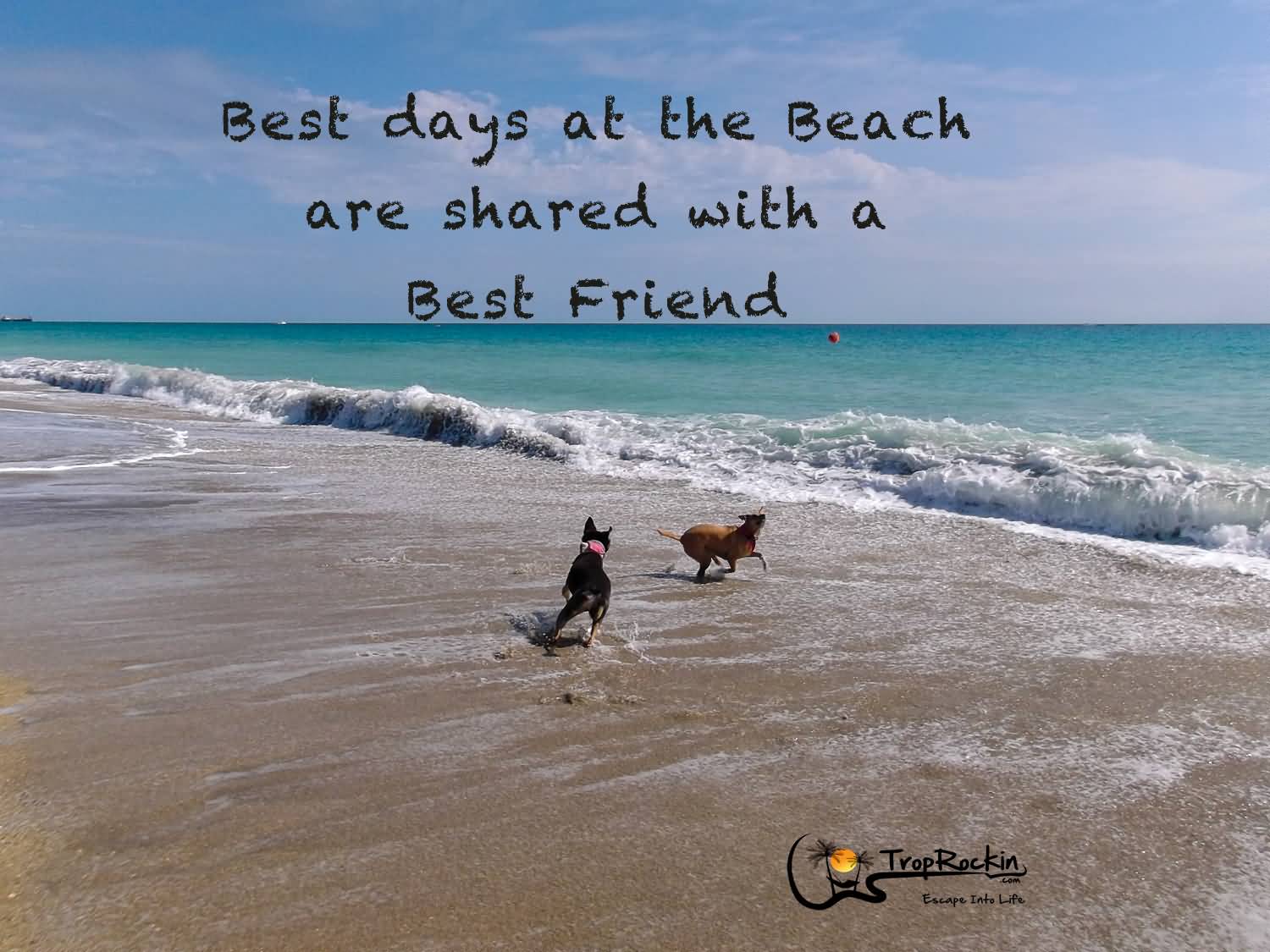 Beach And Friends Quotes Meme Image 19