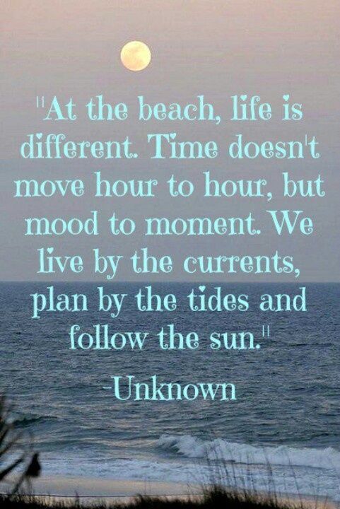 beach quotes about life