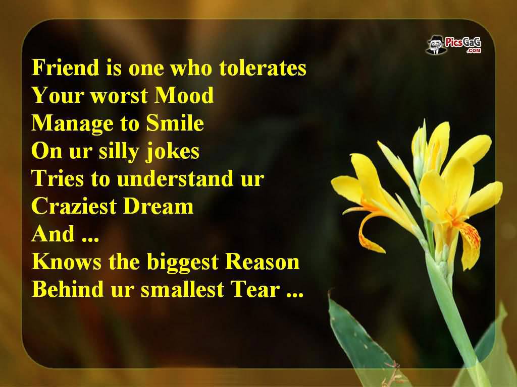 Beautiful Quotes About Friendship 04