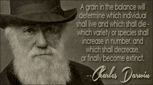 Charles Darwin Quotes Meme Image 07
