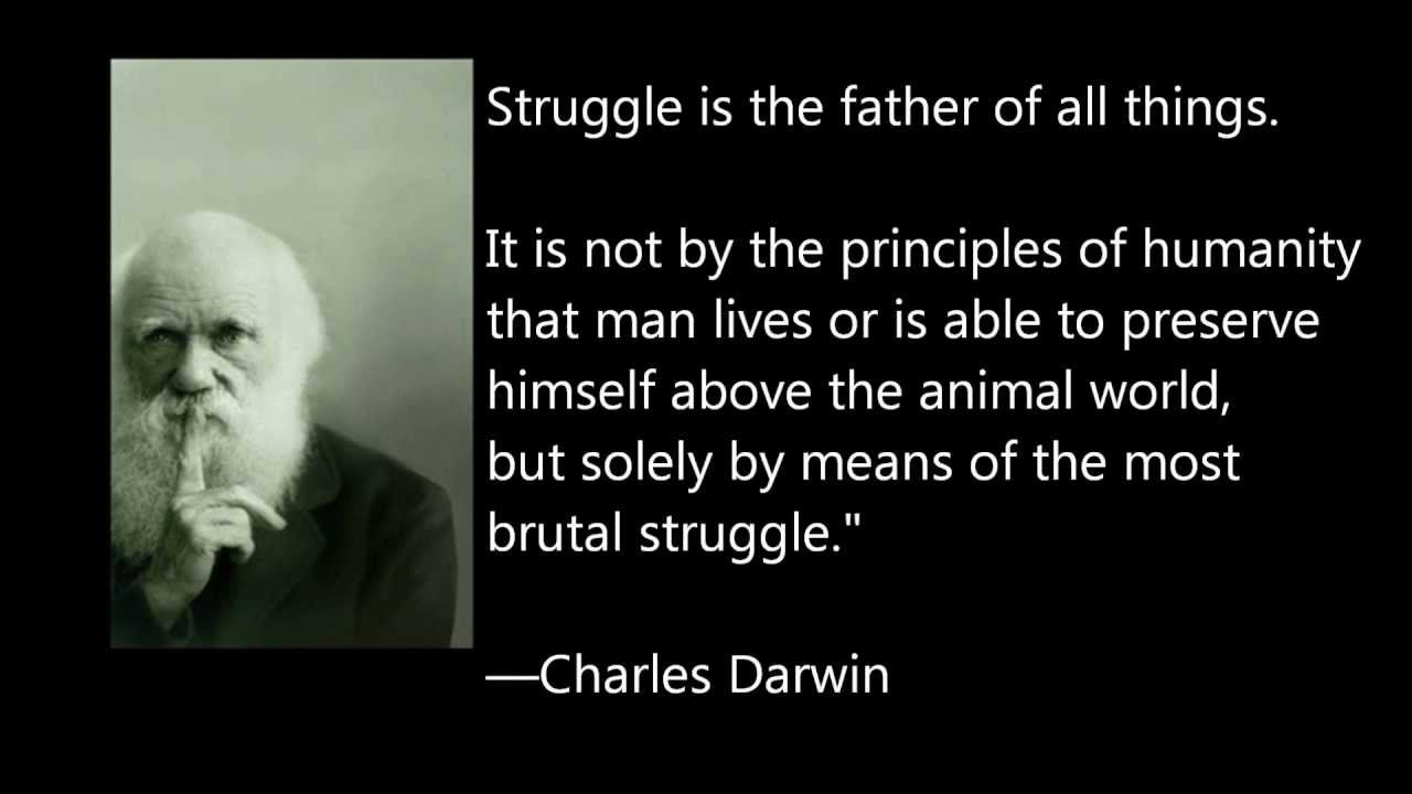 Charles Darwin Quotes Meme Image 09