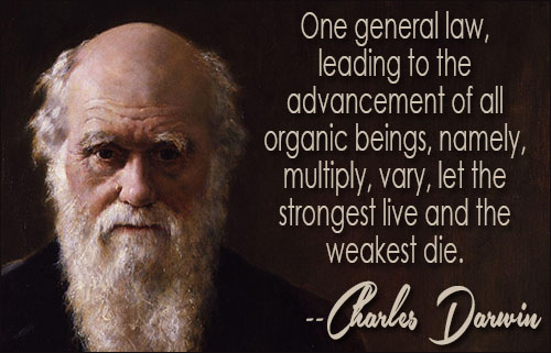 Charles Darwin Quotes Meme Image 11
