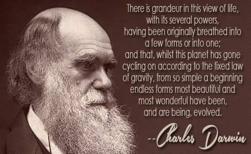 Charles Darwin Quotes Meme Image 13