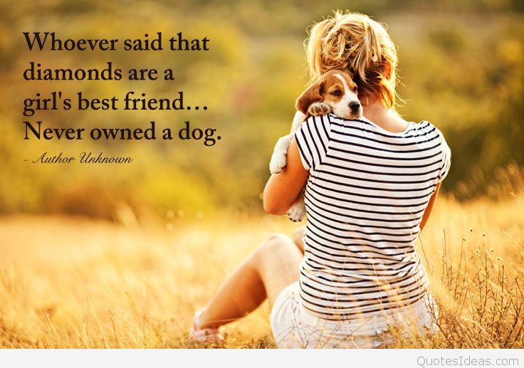Dog Quotes Pinterest Meme Image 15