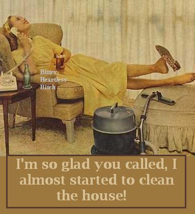 Funny House Cleaning Quotes Meme Image 06