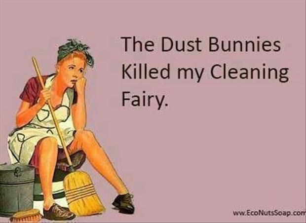 Funny House Cleaning Quotes Meme Image 07