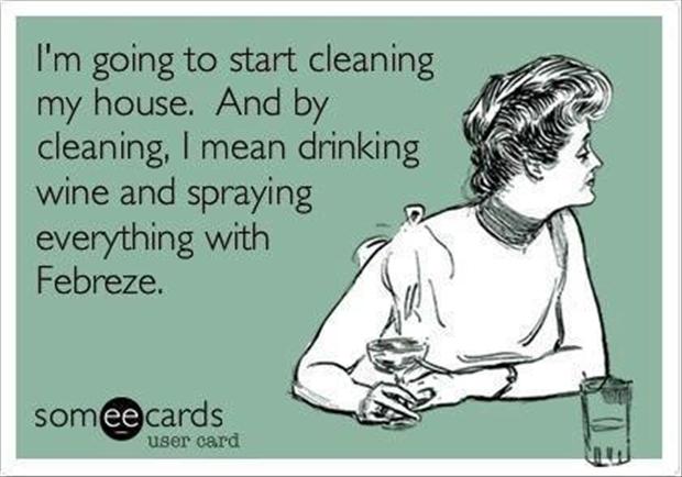 Funny House Cleaning Quotes Meme Image 13