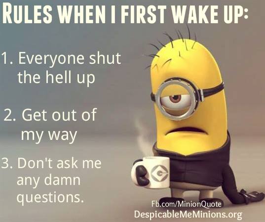 Funny Wake Up Quotes Meme Image 03