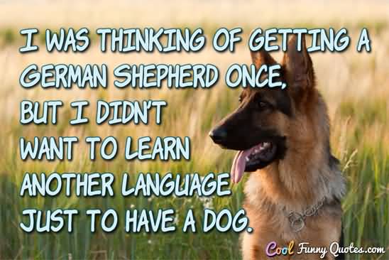 German Shepherd Quotes Meme Image 13