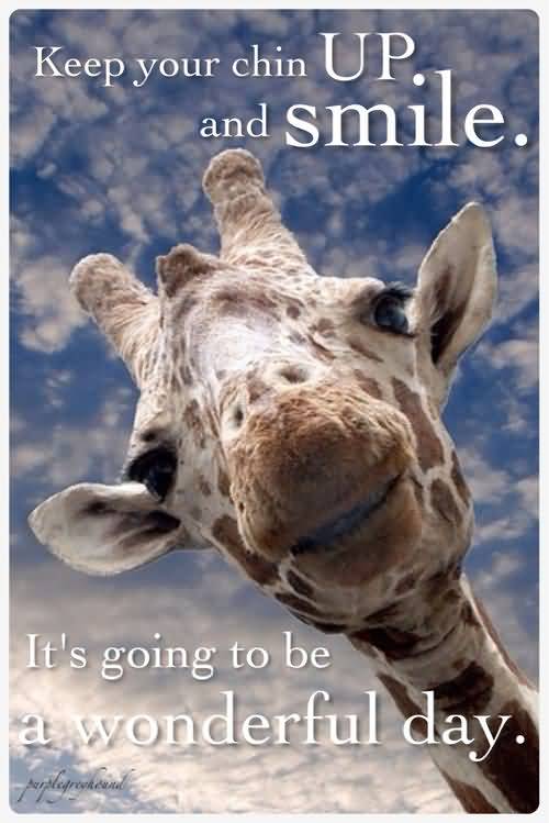 Giraffe Quotes Funny Meme Image 14