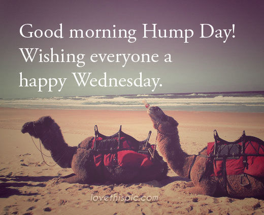 God Morning Hump Day! Wishing Everyone A Happy Wednesday.
