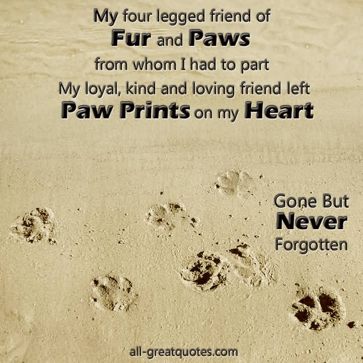 Grieving Pet Loss Quotes Meme Image 19