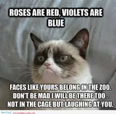 Hilarious Animal Quotes Meme Image 01