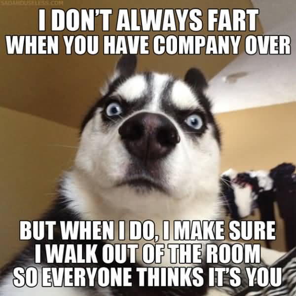 Hilarious Animal Quotes Meme Image 17