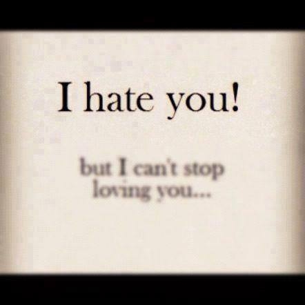 I Hate You But I Love You Quotes Meme Image 12