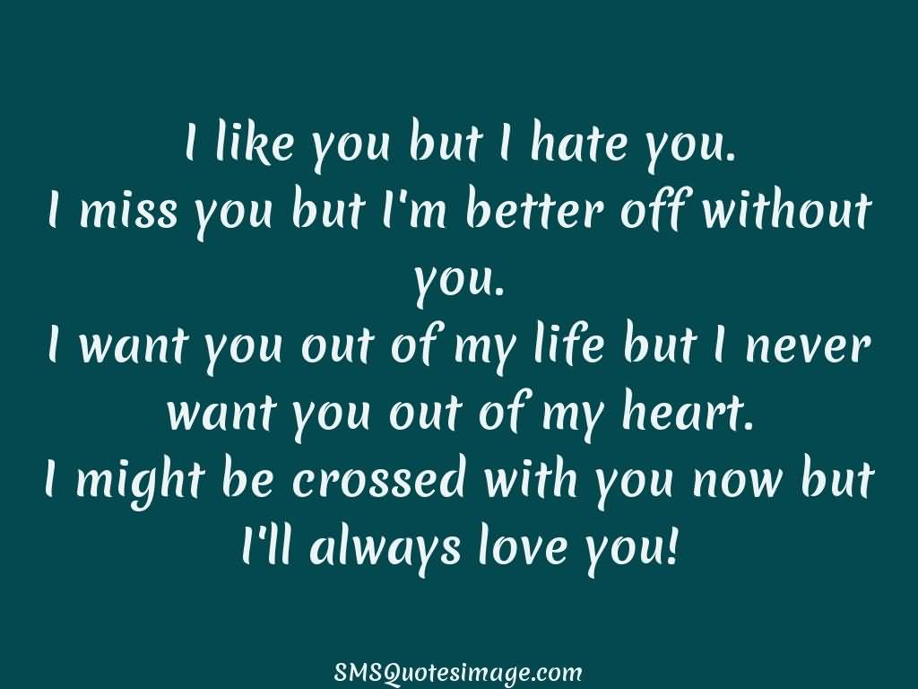 I Hate You But I Love You Quotes Meme Image 19