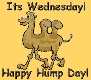 It's Wednesday Happy Hump Day!