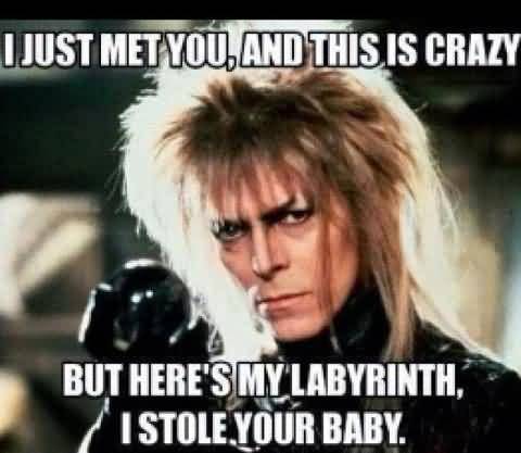 Labyrinth David Bowie Quotes Meme Image 14