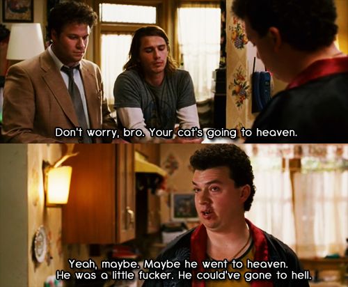 Pineapple Express Quotes Meme Image 08