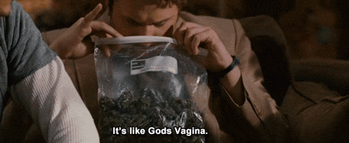 Pineapple Express Quotes Meme Image 18