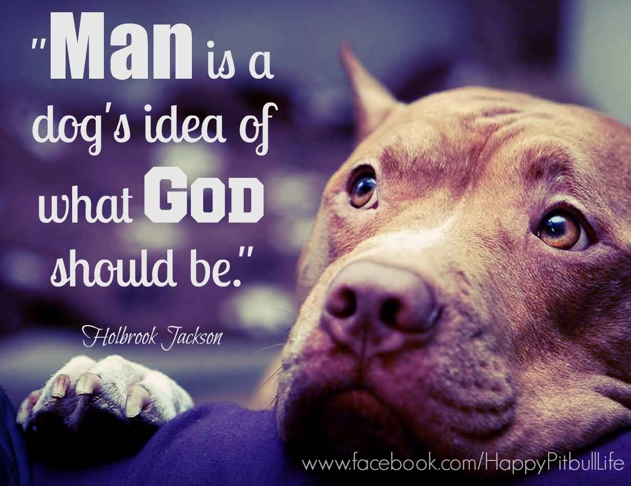 25 Pitbull Dog Love Quotes and Sayings Gallery