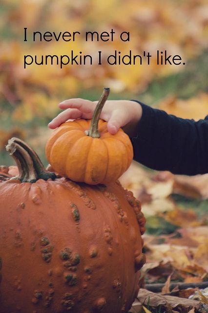 Pumpkin Picking Quotes Meme Image 05