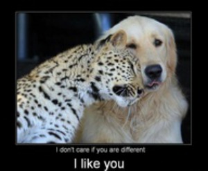 Puppy Love Quotes Meme Image 06
