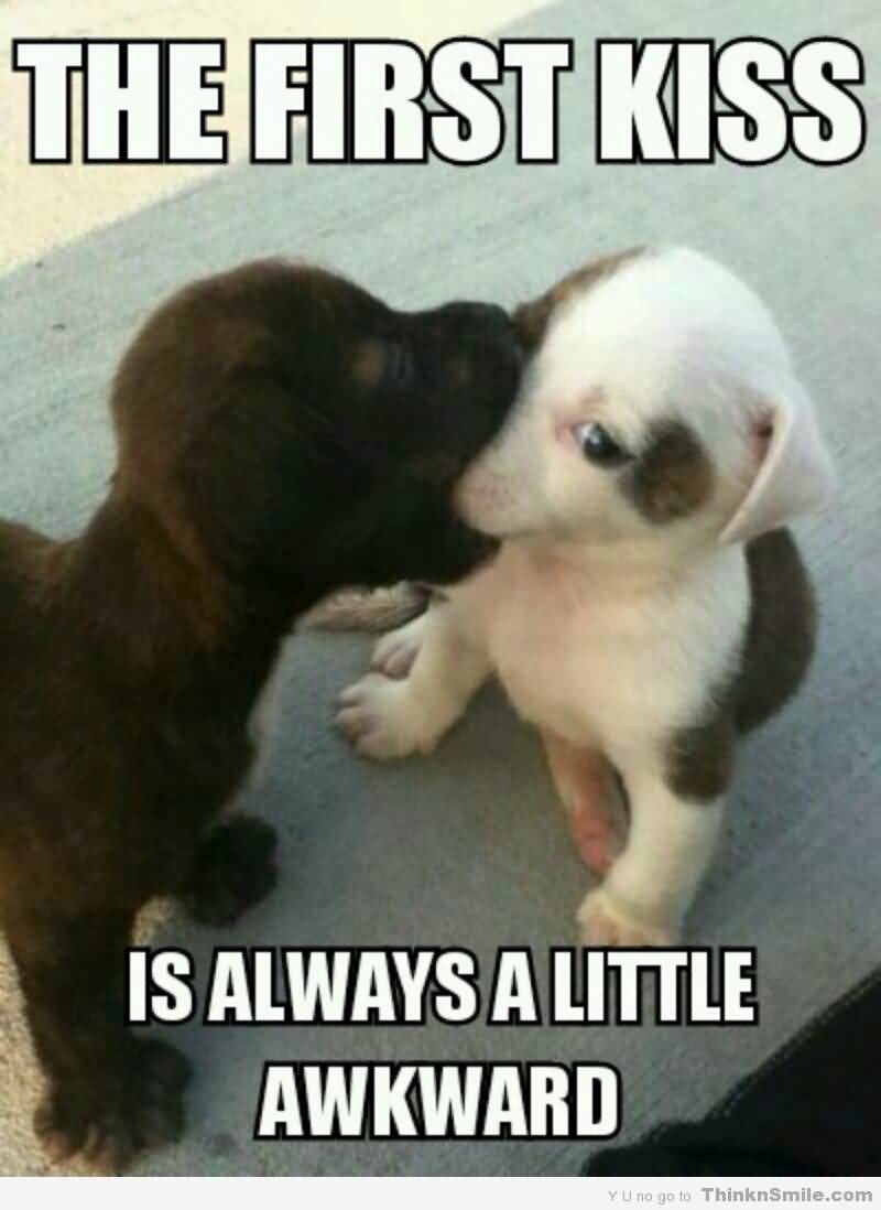 Puppy Love Quotes Meme Image 16
