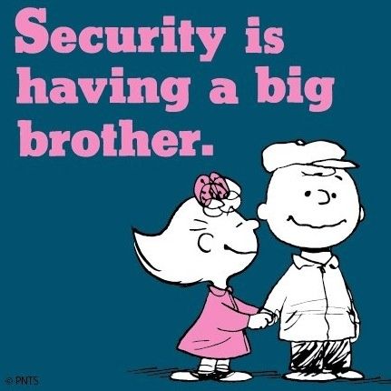 Quotes About Big Brothers Meme Image 06