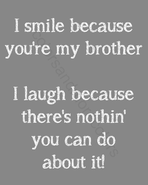 Quotes About Big Brothers Meme Image 13
