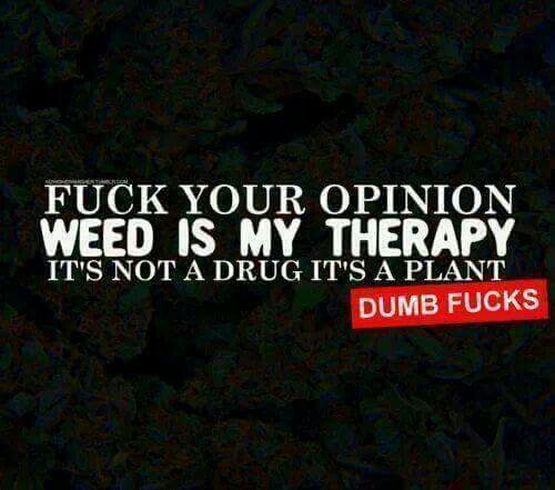Quotes About Weed Meme Image 05