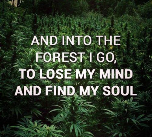 Quotes About Weed Meme Image 09