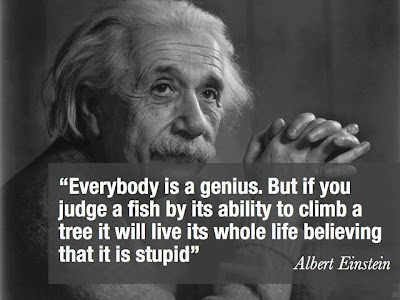 Quotes From Albert Einstein Meme Image 05